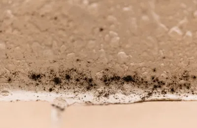 Close view of black mold specks along a bathroom caulk line